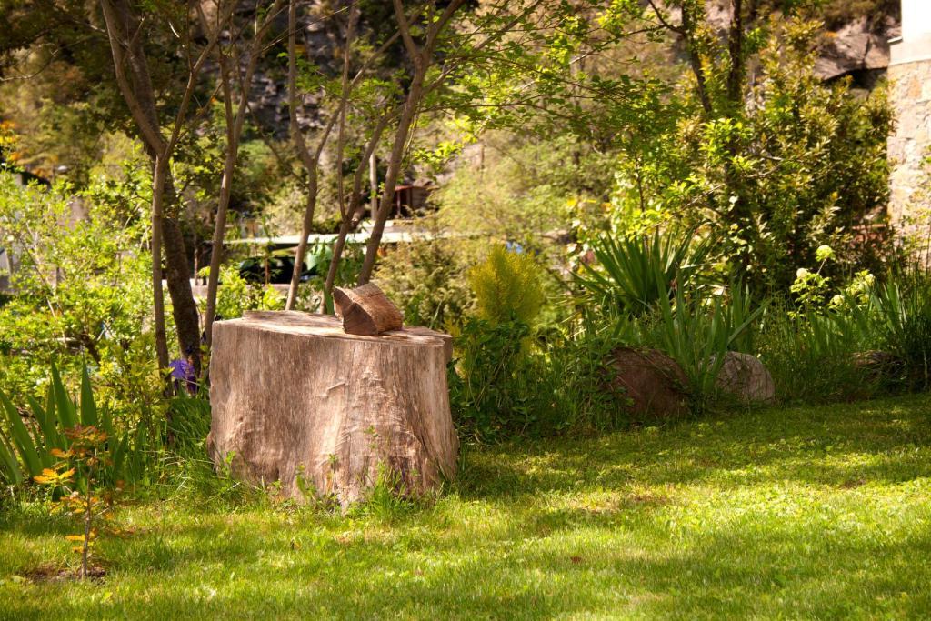 Hotel Badain Lafortunada Εξωτερικό φωτογραφία